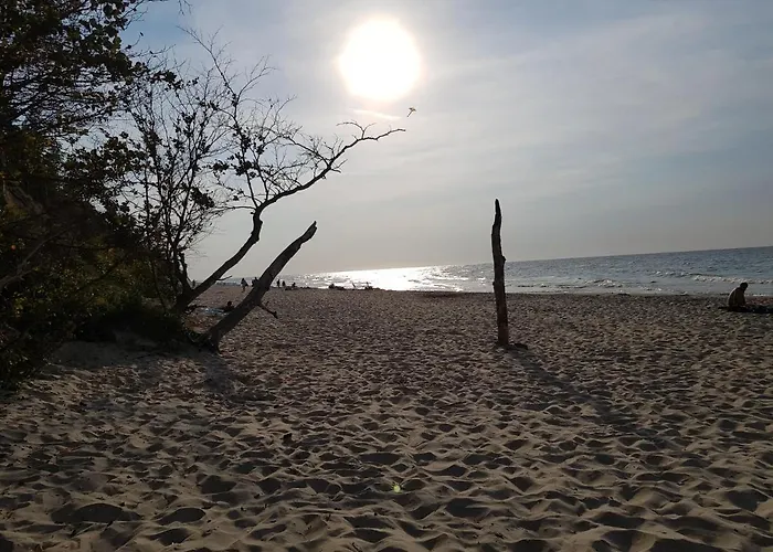 Eden コウチェボ